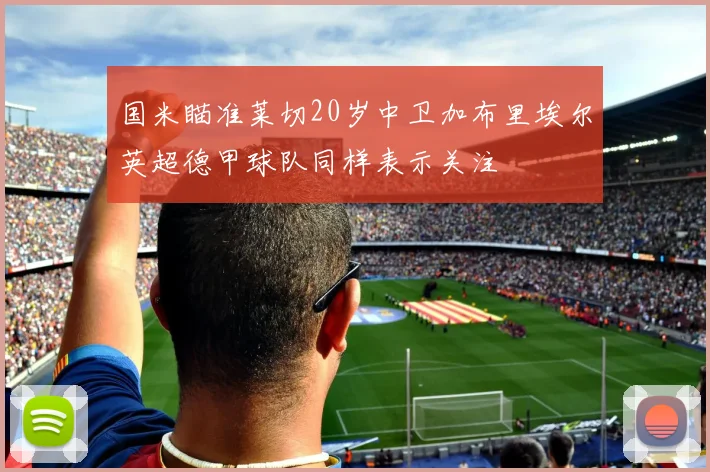 国米瞄准莱切20岁中卫加布里埃尔英超德甲球队同样表示关注