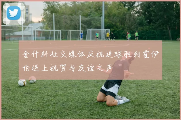 舍什科社交媒体庆祝进球胜利霍伊伦送上祝贺与友谊之声