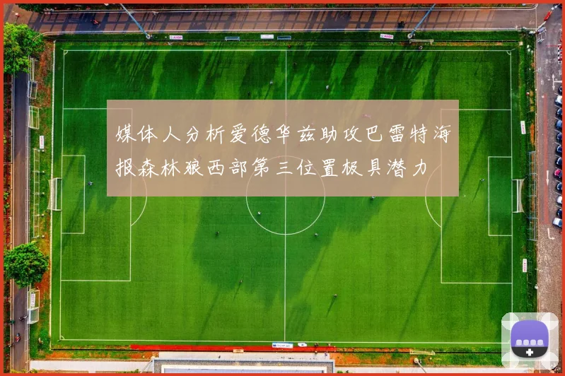 媒体人分析爱德华兹助攻巴雷特海报森林狼西部第三位置极具潜力